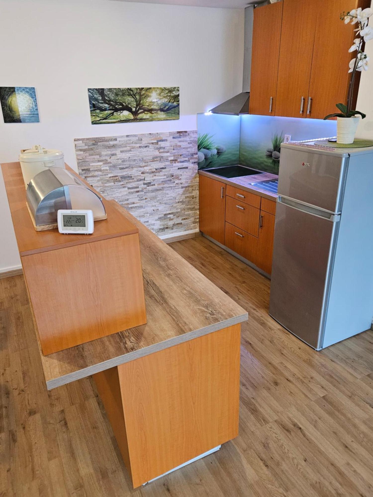Apartment Zoya Kranjska Gora Eksteriør billede